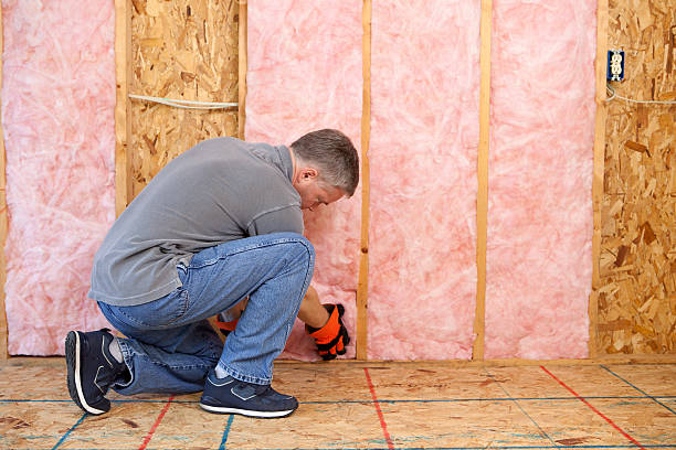 Best Fiberglass Insulation in Dover Beaches North, NJ